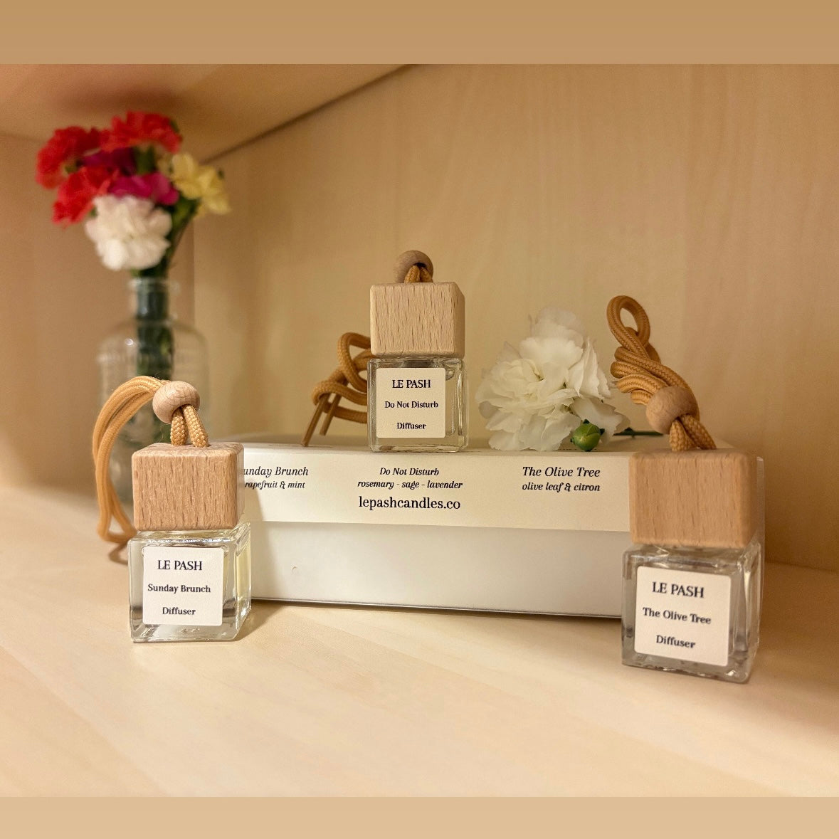 Hanging Diffusers Set
